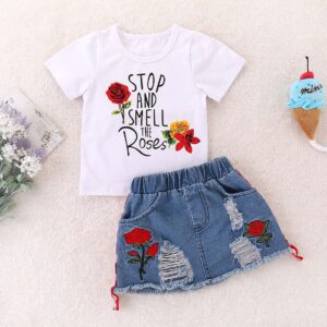 Girls Printed T-shirt and Denim Skirt Set