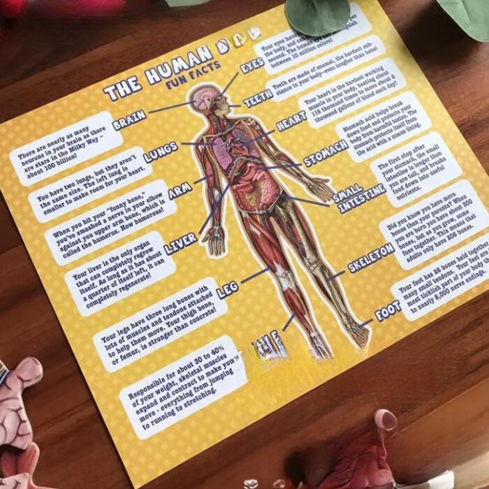 4c218d15-0e04-4320-9393-a7aaefafc4b3.jpg 4c218d15-0e04-4320-9393-a7aaefafc4b3.jpg